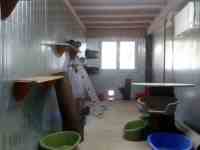 Intérieur du box commun chats